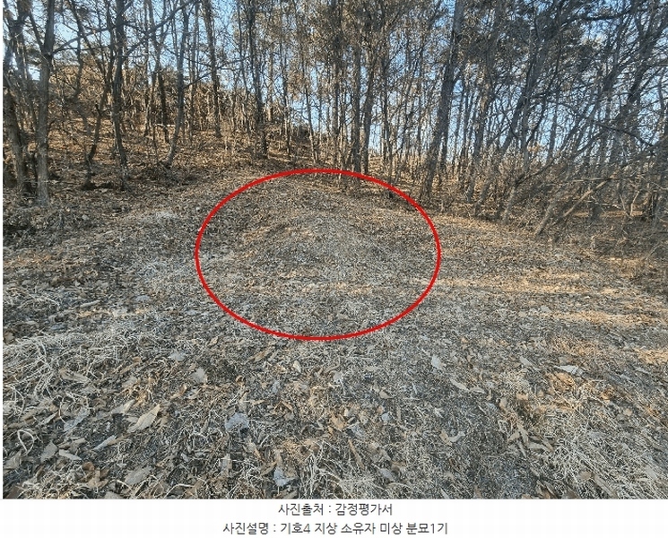 2025타경30366 충청북도 음성군 대소면 수태리 593-1 임야 경매 이미지