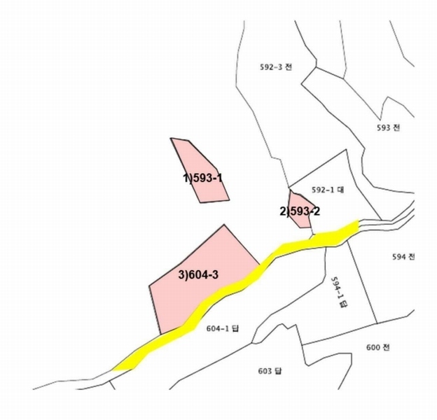 2025타경30366 충청북도 음성군 대소면 수태리 593-1 임야 경매 이미지