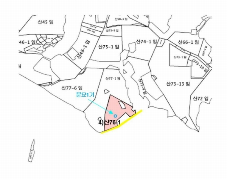 2025타경30366 충청북도 음성군 대소면 수태리 593-1 임야 경매 이미지