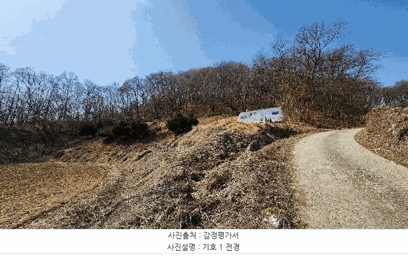 2025타경30409 충청북도 음성군 생극면 관성리 176-2 임야 경매 이미지