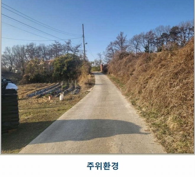 2025타경30421 충청북도 음성군 금왕읍 오선리 337-2 대지 경매 이미지