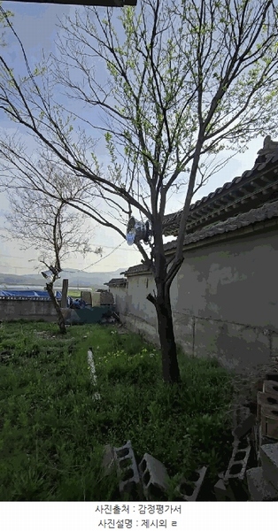 2025타경30463 충청북도 충주시 주덕읍 당우리 115-2 주택 경매 이미지