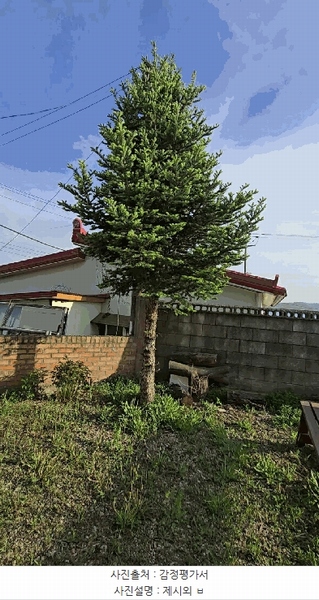 2025타경30463 충청북도 충주시 주덕읍 당우리 115-2 주택 경매 이미지