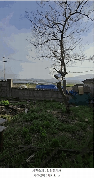 2025타경30463 충청북도 충주시 주덕읍 당우리 115-2 주택 경매 이미지