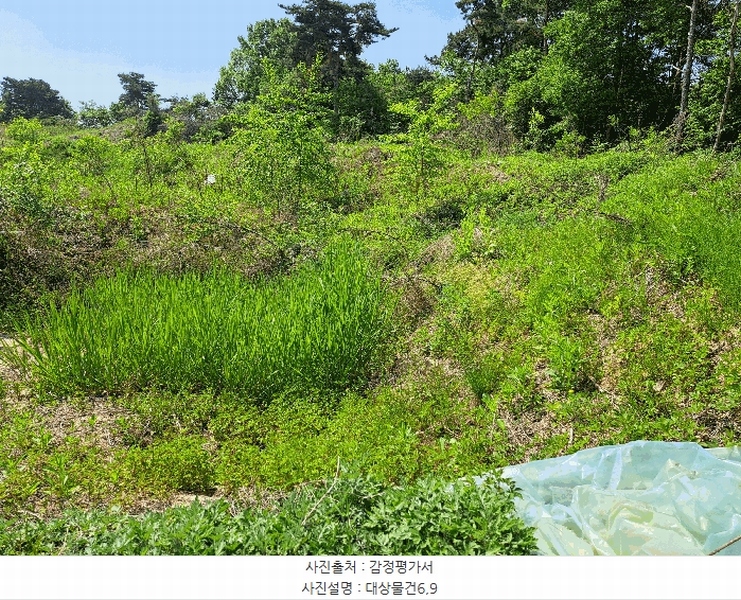 2025타경30544 충청북도 음성군 맹동면 마산리 232-1 임야 경매 이미지