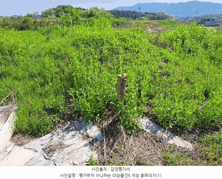 2025타경30544 충청북도 음성군 맹동면 마산리 232-1 임야 경매 이미지