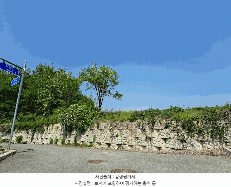 2025타경30544 충청북도 음성군 맹동면 마산리 232-1 임야 경매 이미지