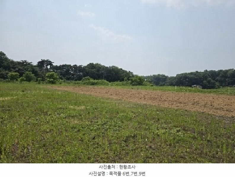 2025타경30544 충청북도 음성군 맹동면 마산리 232-1 임야 경매 이미지
