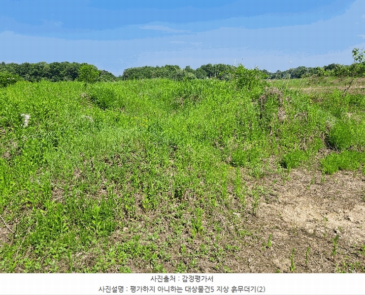 2025타경30544 충청북도 음성군 맹동면 마산리 232-1 임야 경매 이미지