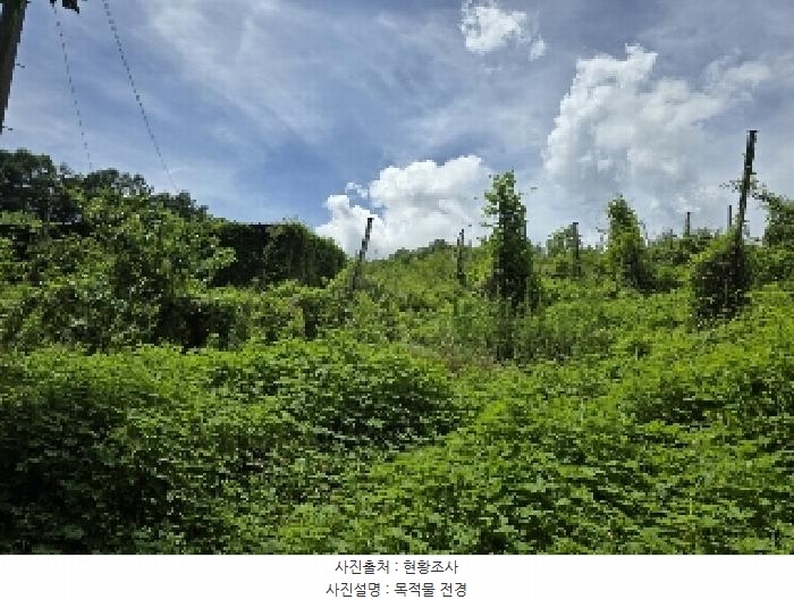 2025타경30663 충청북도 음성군 음성읍 읍내리 산26-18 임야 경매 이미지