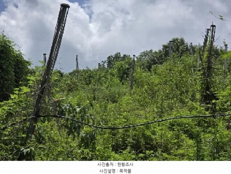 2025타경30663 충청북도 음성군 음성읍 읍내리 산26-18 임야 경매 이미지