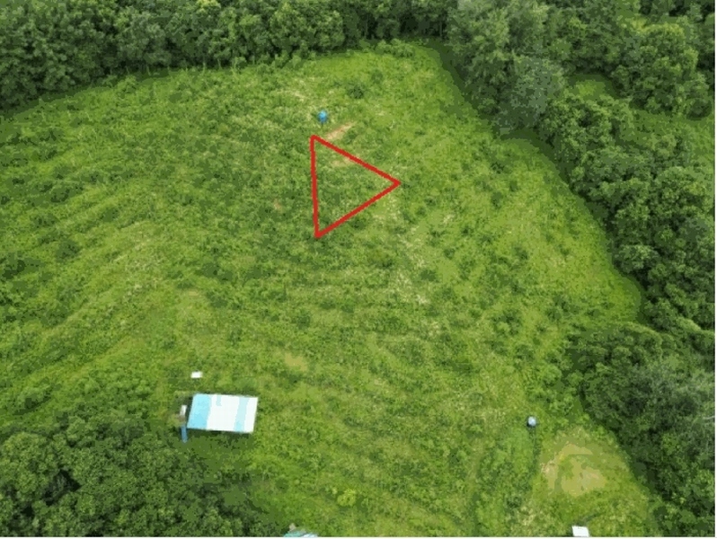 2025타경30663 충청북도 음성군 음성읍 읍내리 산26-18 임야 경매 이미지