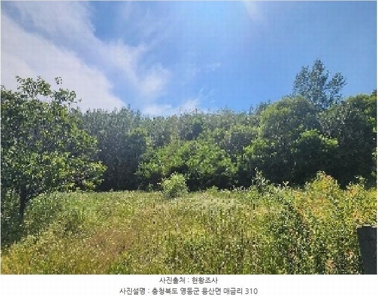 2025타경10148 충청북도 영동군 용산면 매금리 310 농지 경매 이미지