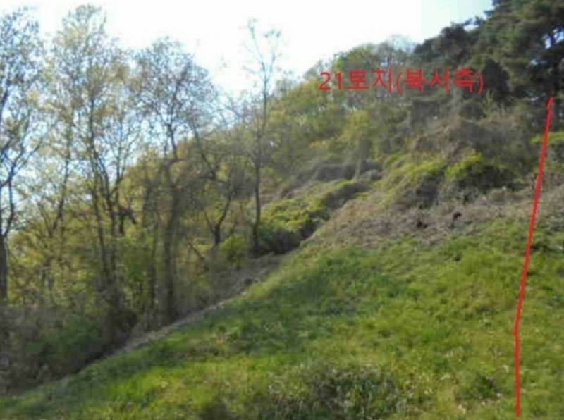 2022타경30958 충청북도 충주시 단월동 산57 임야 경매 이미지
