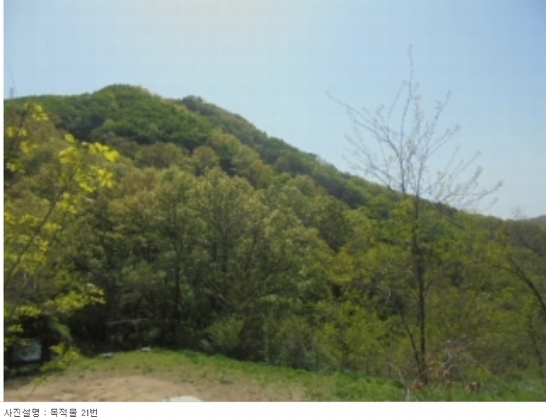 2022타경30958 충청북도 충주시 단월동 산57 임야 경매 이미지