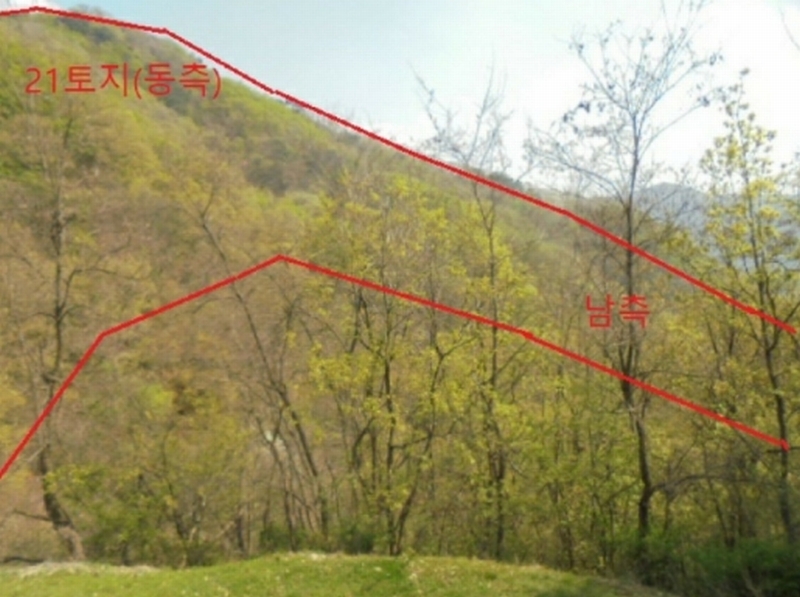 2022타경30958 충청북도 충주시 단월동 산57 임야 경매 이미지