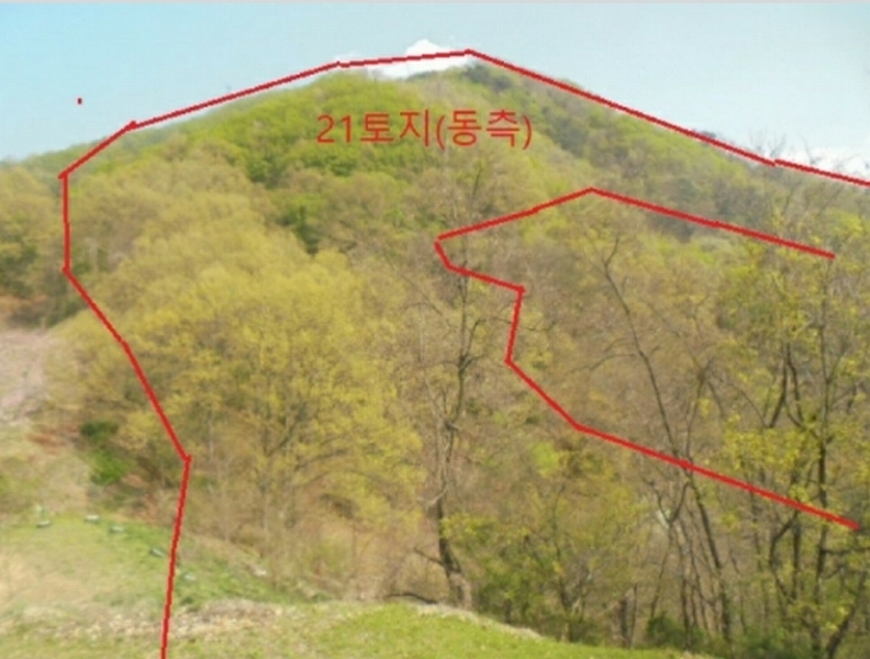 2022타경30958 충청북도 충주시 단월동 산57 임야 경매 이미지