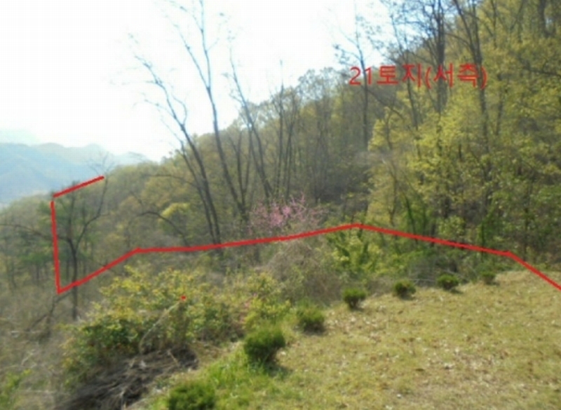 2022타경30958 충청북도 충주시 단월동 산57 임야 경매 이미지