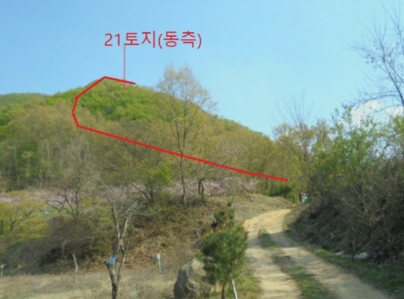 2022타경30958 충청북도 충주시 단월동 산57 임야 경매 이미지