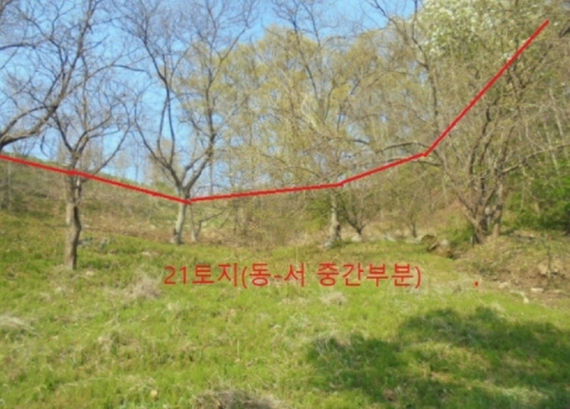 2022타경30958 충청북도 충주시 단월동 산57 임야 경매 이미지
