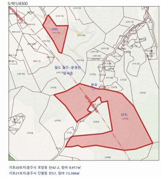 2022타경30958 충청북도 충주시 단월동 산57 임야 경매 이미지
