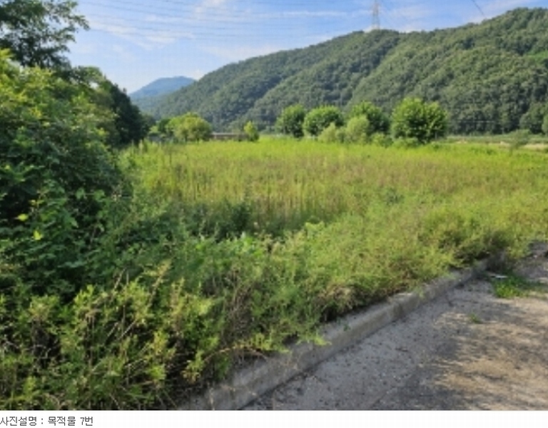 2023타경33053 충청북도 충주시 앙성면 마련리 204-5 농지 경매 이미지