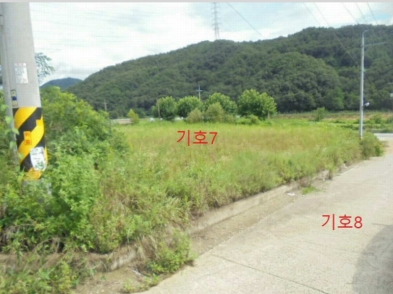 2023타경33053 충청북도 충주시 앙성면 마련리 204-5 농지 경매 이미지