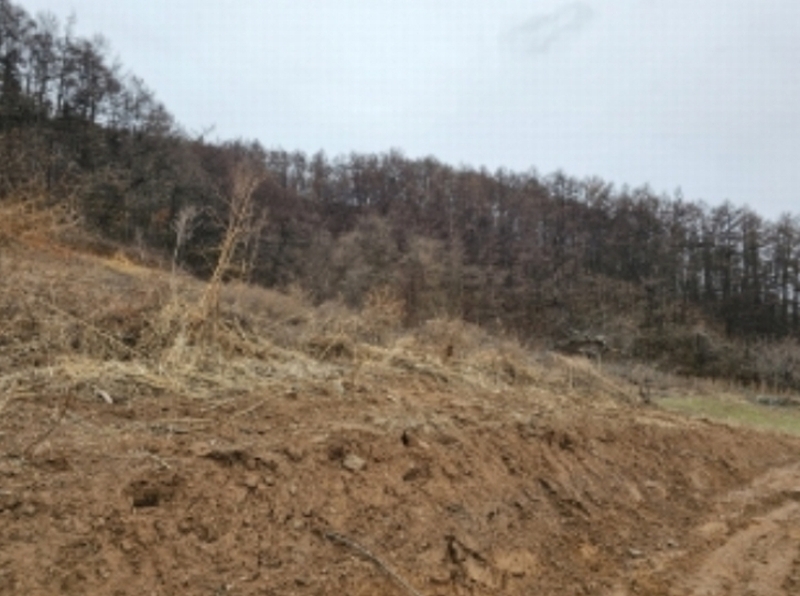 2023타경35059 충청북도 충주시 호암동 1 임야 경매 이미지