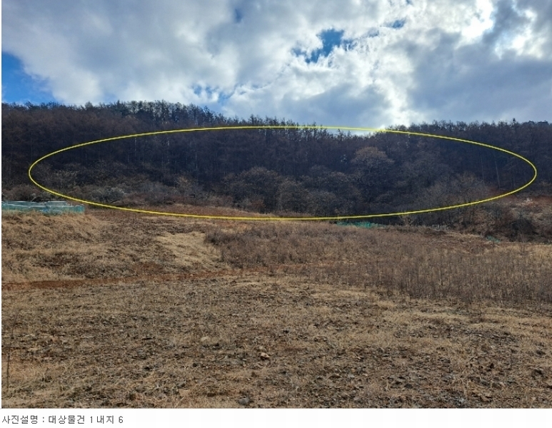 2023타경35059 충청북도 충주시 호암동 1 임야 경매 이미지