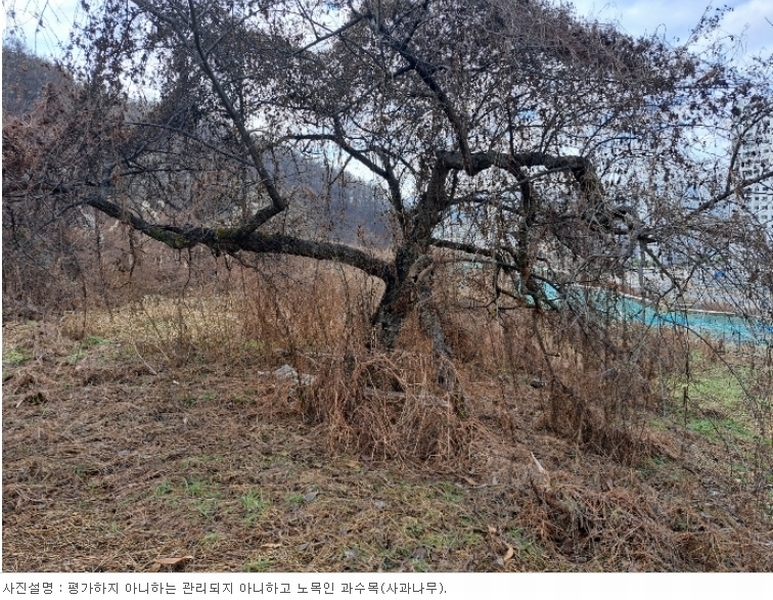 2023타경35059 충청북도 충주시 호암동 1 임야 경매 이미지