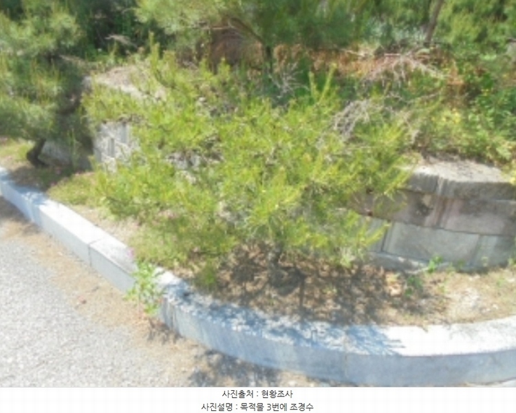 2024타경1404 충청북도 충주시 앙성면 사미리 산20-2 임야 경매 이미지