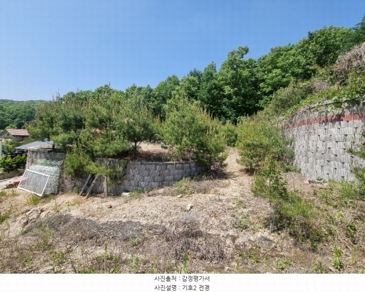 2024타경1404 충청북도 충주시 앙성면 사미리 산20-2 임야 경매 이미지