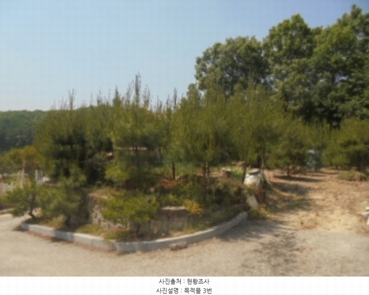 2024타경1404 충청북도 충주시 앙성면 사미리 산20-2 임야 경매 이미지