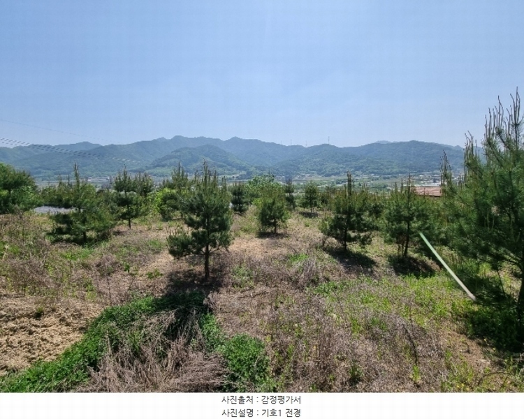 2024타경1404 충청북도 충주시 앙성면 사미리 산20-2 임야 경매 이미지