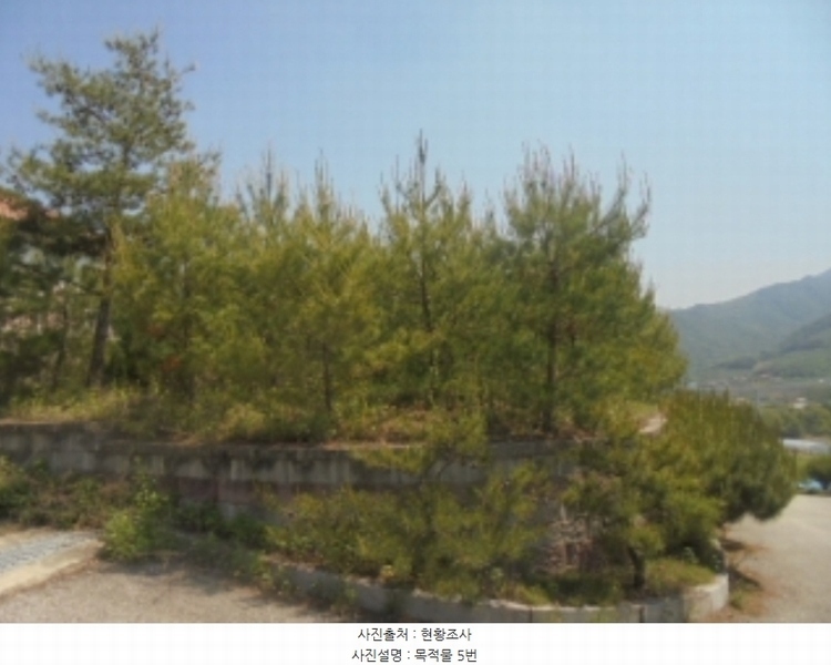 2024타경1404 충청북도 충주시 앙성면 사미리 산20-2 임야 경매 이미지