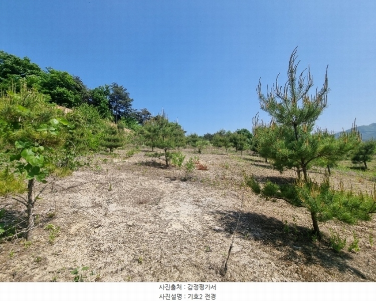 2024타경1404 충청북도 충주시 앙성면 사미리 산20-2 임야 경매 이미지