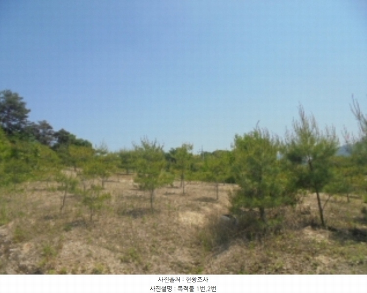 2024타경1404 충청북도 충주시 앙성면 사미리 산20-2 임야 경매 이미지