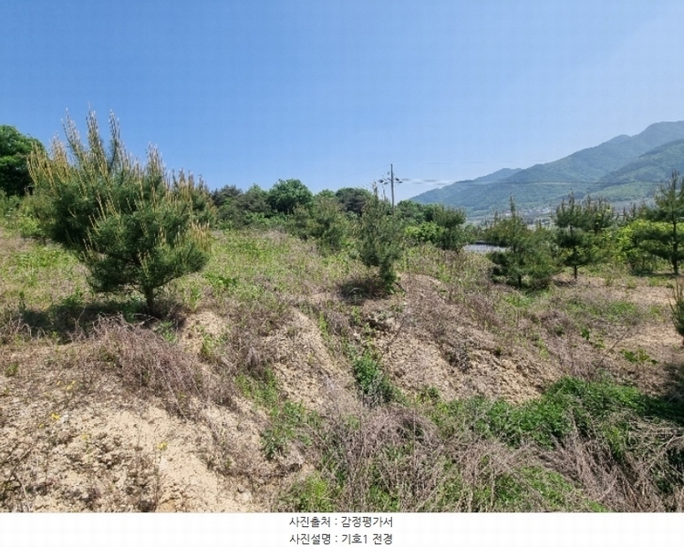 2024타경1404 충청북도 충주시 앙성면 사미리 산20-2 임야 경매 이미지