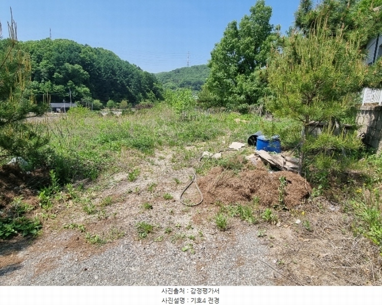 2024타경1404 충청북도 충주시 앙성면 사미리 산20-2 임야 경매 이미지