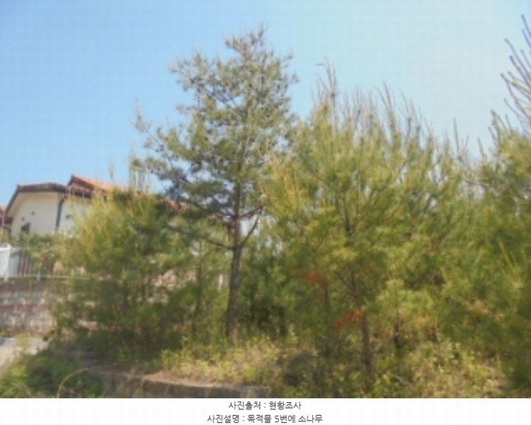 2024타경1404 충청북도 충주시 앙성면 사미리 산20-2 임야 경매 이미지