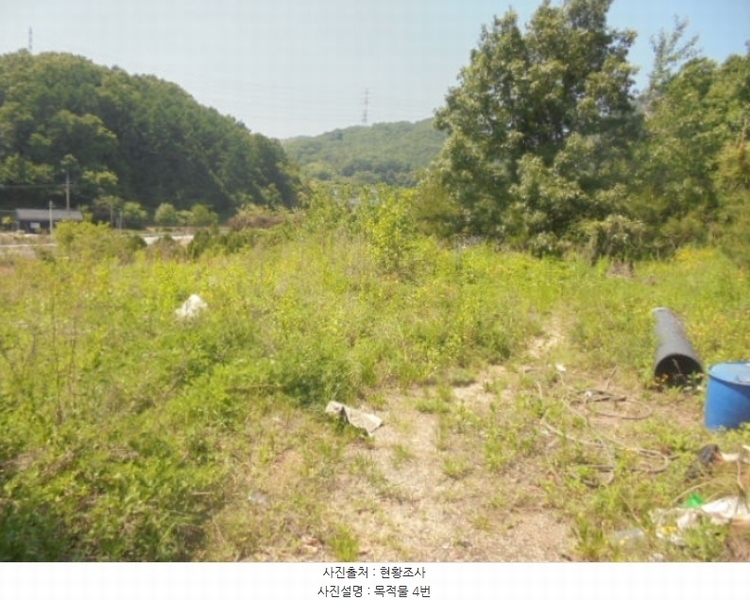2024타경1404 충청북도 충주시 앙성면 사미리 산20-2 임야 경매 이미지