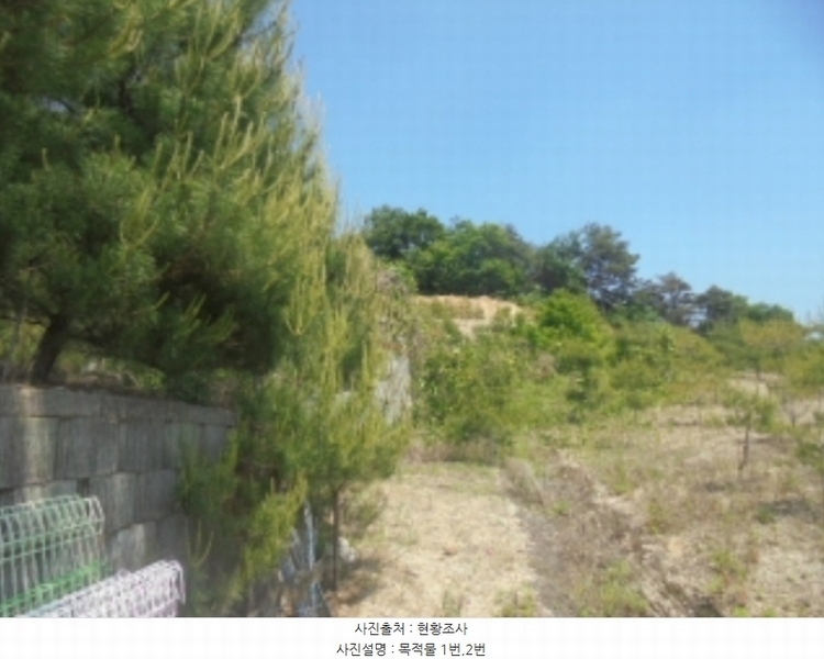 2024타경1404 충청북도 충주시 앙성면 사미리 산20-2 임야 경매 이미지