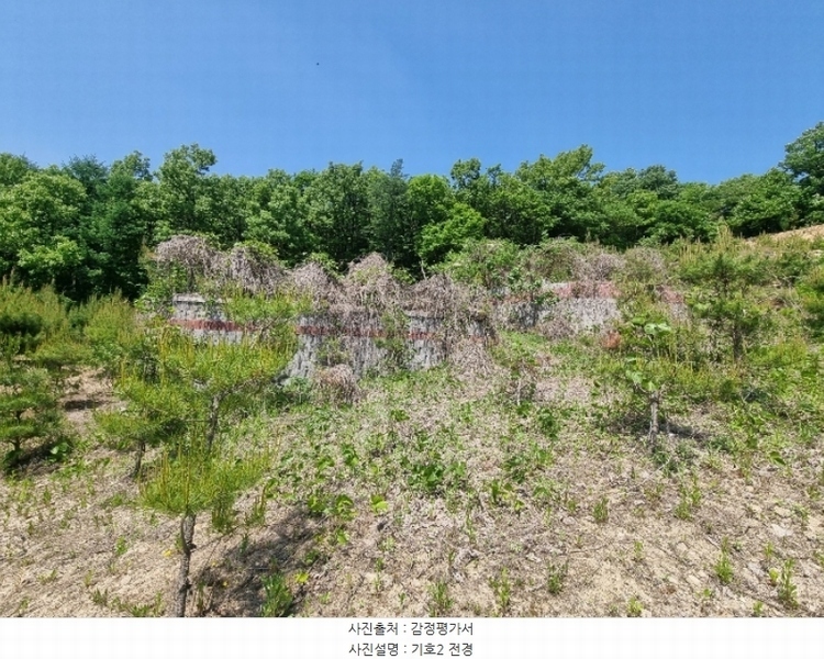 2024타경1404 충청북도 충주시 앙성면 사미리 산20-2 임야 경매 이미지