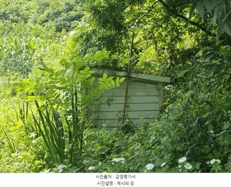 2024타경1756 충청북도 음성군 소이면 충도리 752 주택 경매 이미지