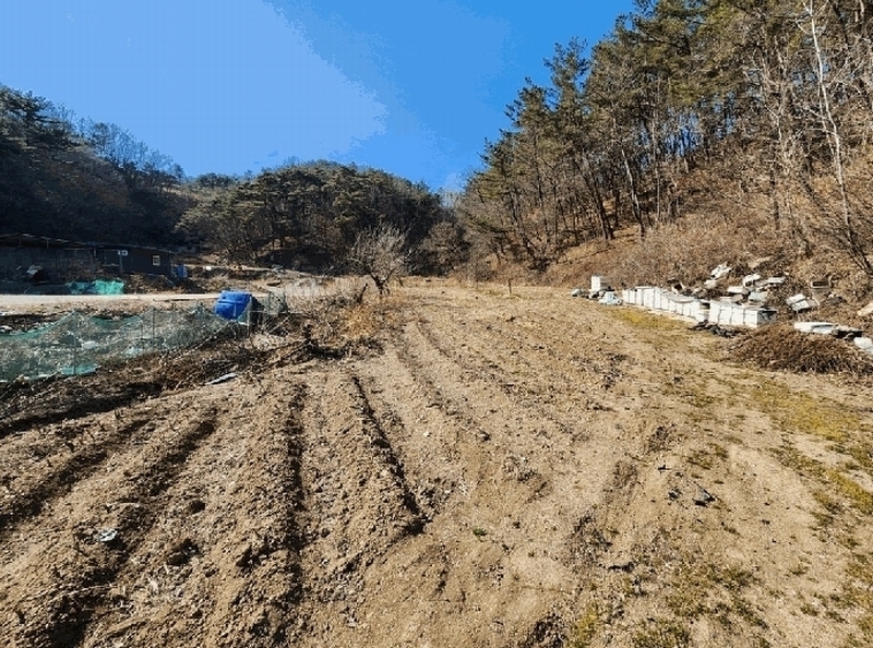 2025타경10165 경상북도 영덕군 강구면 화전리 37 농지 경매 이미지