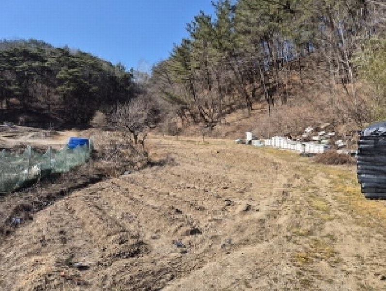 2025타경10165 경상북도 영덕군 강구면 화전리 37 농지 경매 이미지