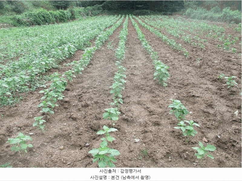 2024타경2575 경상북도 경주시 내남면 덕천리 1069-1 농지 경매 이미지