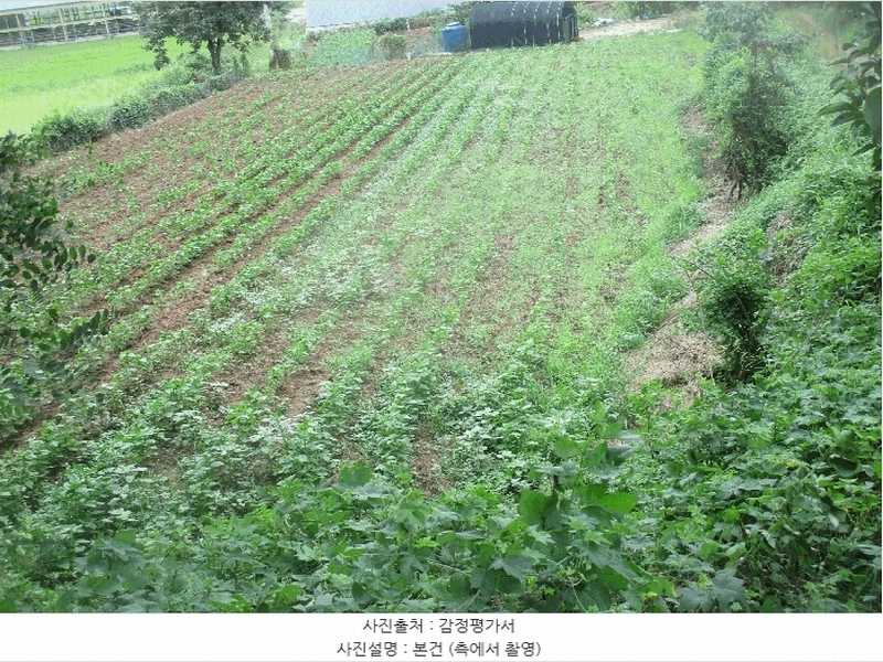 2024타경2575 경상북도 경주시 내남면 덕천리 1069-1 농지 경매 이미지