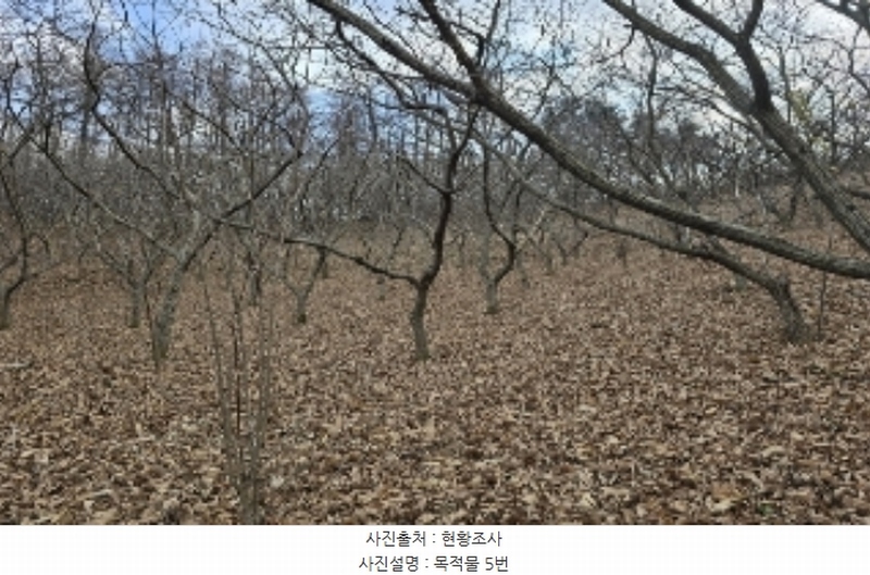 2024타경3578 충청북도 충주시 종민동 713 농지 경매 이미지