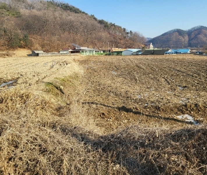 2024타경30457 충청북도 충주시 앙성면 강천리 229-5 농지 경매 이미지